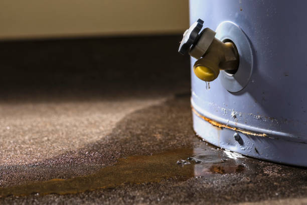 Best Local water damage restoration  in Mobridge, SD