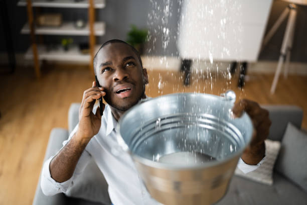 Best Mold removal after water damage  in Mobridge, SD