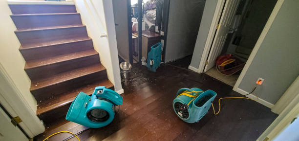 Best Carpet water damage restoration  in Mobridge, SD