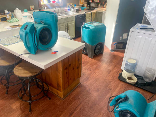 Professional Water damage restoration in SD