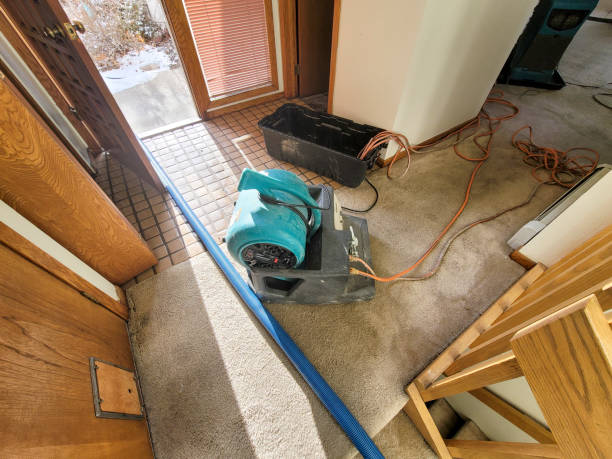 Best Residential water damage restoration  in Mobridge, SD