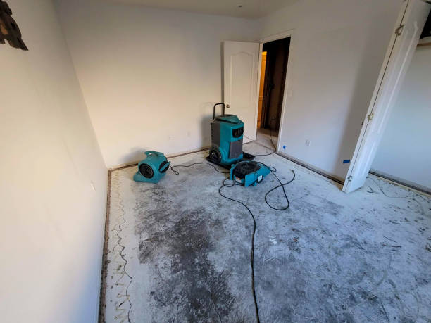 Best Emergency water damage restoration  in Mobridge, SD