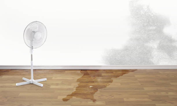  Mobridge, SD Water damage restoration Pros
