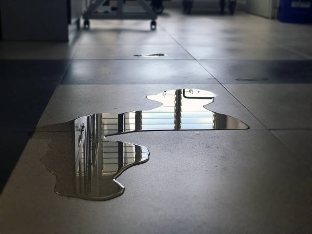 Best Water damage restoration near me  in Mobridge, SD