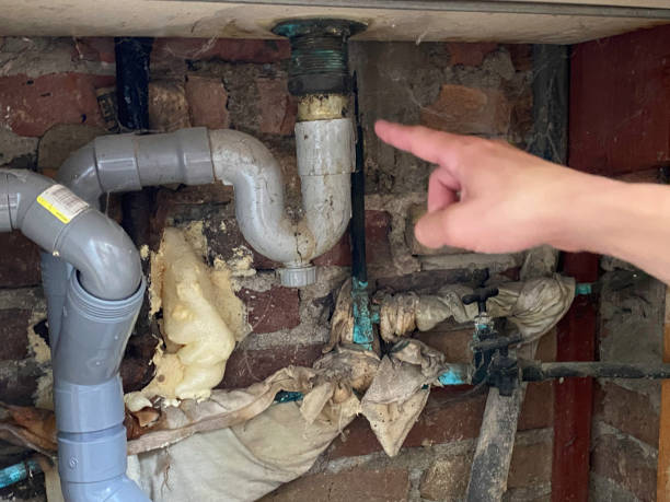 Best Professional water damage repair  in Mobridge, SD